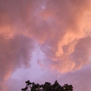 Meet your Posher, Gaye